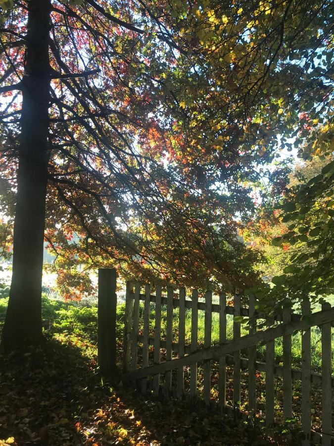 Chambre D'Hotes La Ferme Du Pre-Martin La Genevraie Bagian luar foto